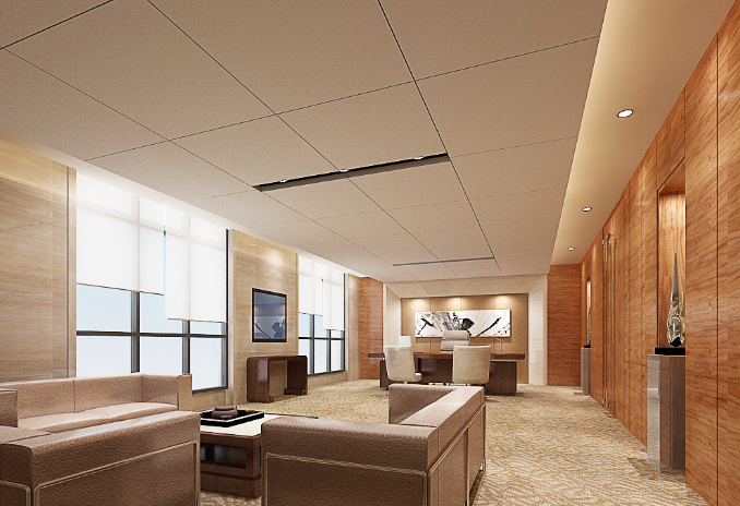 上海辦公室裝修設(shè)計(jì)：平安樹挑選全攻略，打造綠色辦公新體驗(yàn)！