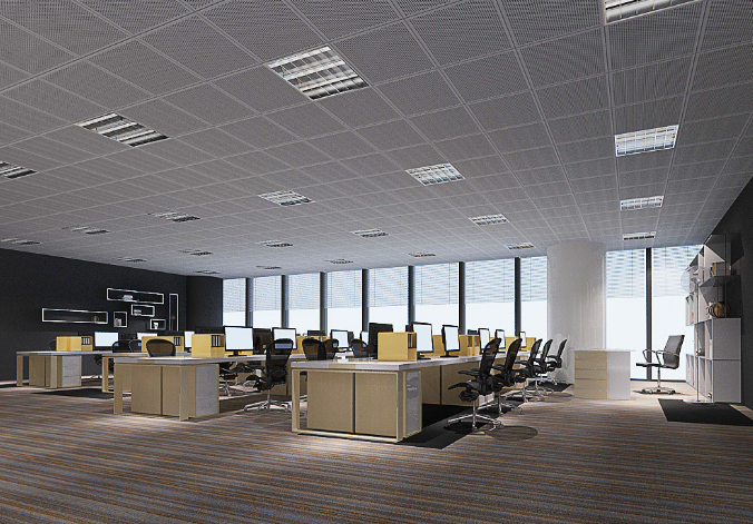 上海辦公室裝修設(shè)計：銅錢草，如何巧妙融入空間美學？